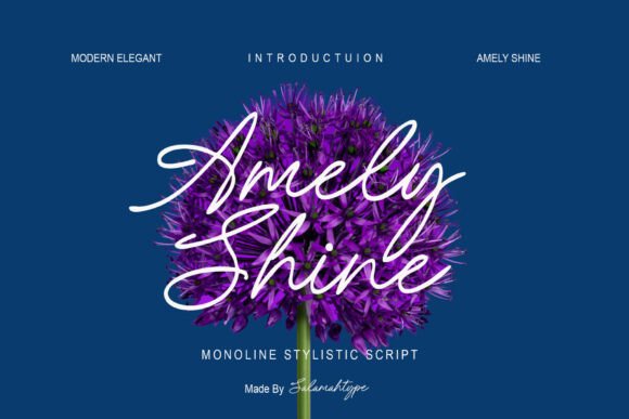 Amely Shine Font: Elevating Digital Brand Identity