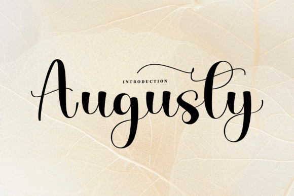 Augusty: A Designer’s Review for Real Projects