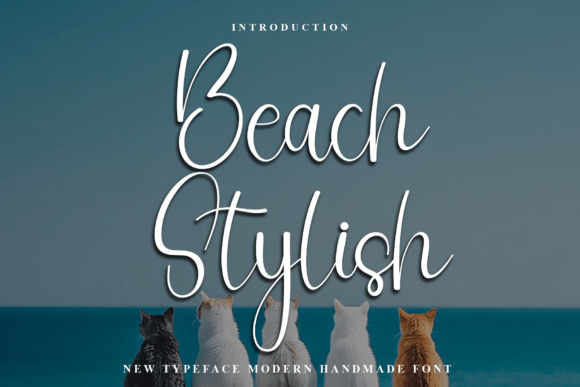 Beach Stylish Font: Warm Editorial Typography