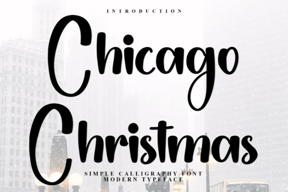 Chicago Christmas: A Designer’s Practical Review